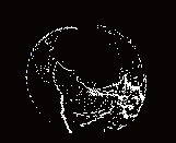 WIDTH=160