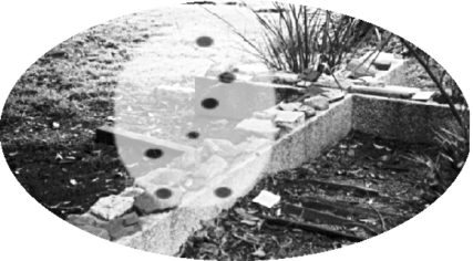 WIDTH=426