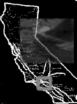 WIDTH=262