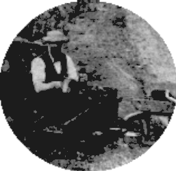 WIDTH=240